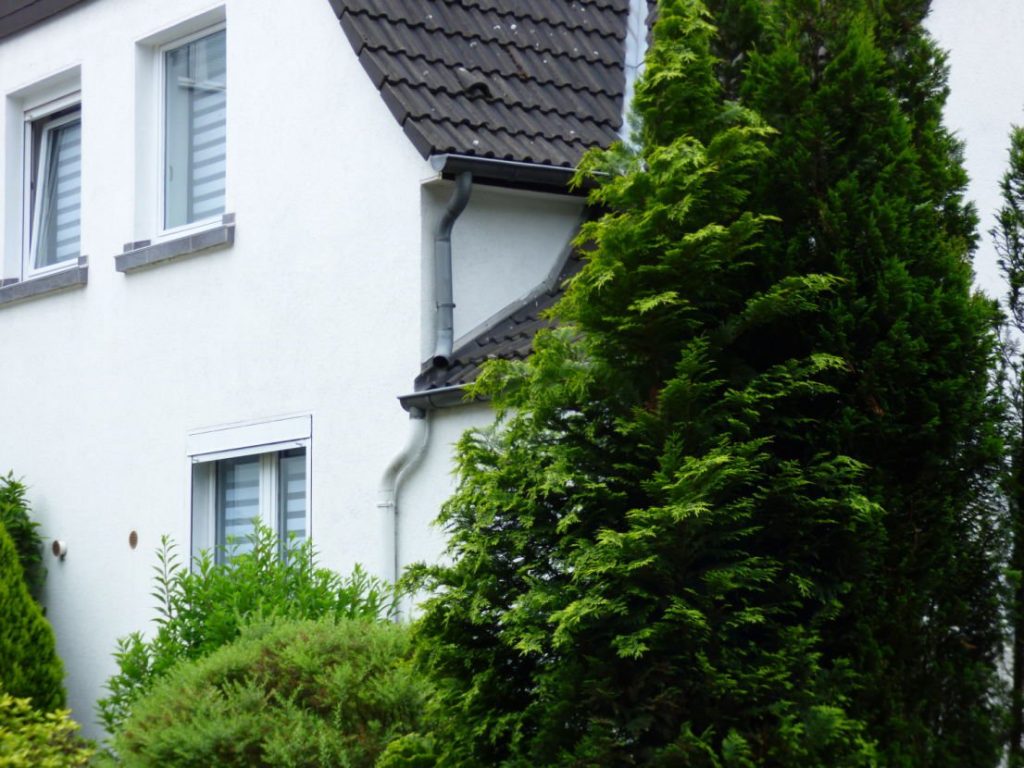 Mehrfamilienhaus mit grüner Bepflanzung als Vorgarten