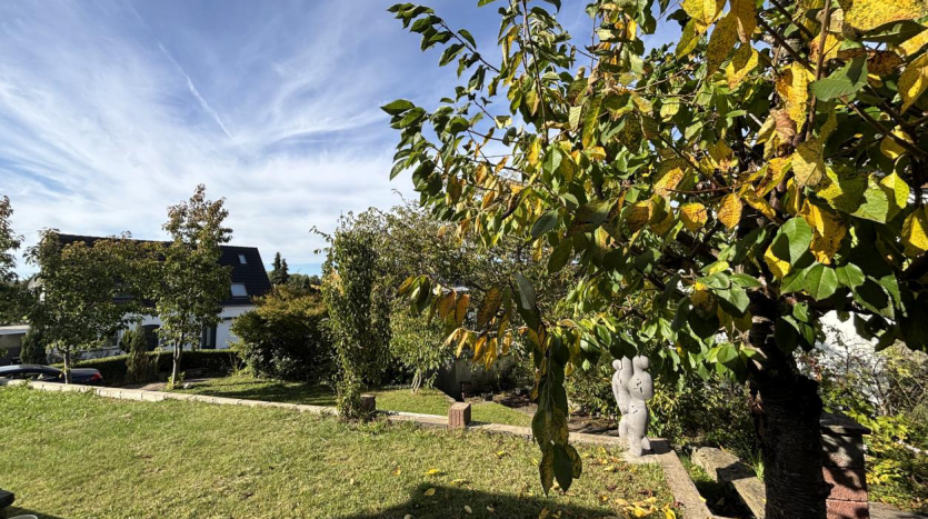 Bild von Exposé_ALEA_Zahnrad 2025 (1)2, Seite 5