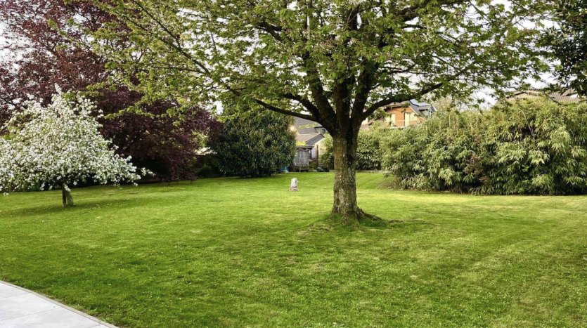 Bildschirmfoto 2026-01-08 um 16.12.06